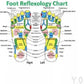 Kinoki Foot Pads for Your Health Care