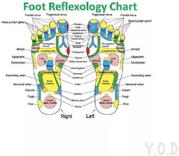 Kinoki Foot Pads for Your Health Care